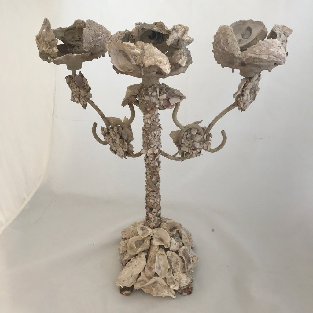 Three-Armed Shell Candleabra